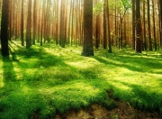 雷火电竞主播-本泽马连场破门助皇马领跑，尼斯爆冷击败德甲劲旅