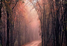 开云体育入口-NBA｜国米双星闪耀，命运十字路口的双重奏！