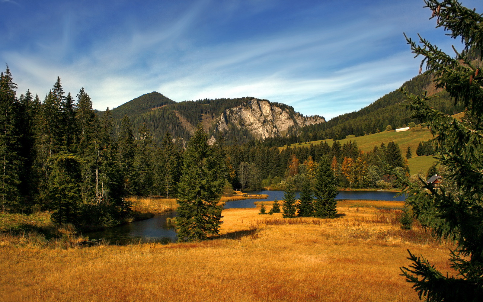 新时代的智能足球与旧大陆的血脉鏖战
